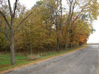 Country home with asphalt drive on nearly 12 acres with woods and outbuildings.  1-1/2 Story remodeled farm home with 3 bedrooms, 2 baths, eat-in kitchen w/custom hickory cabinets (J. Miller) and all appliances including washer and dryer.

Spacious living/dining room, full concrete block basement, covered front porch, rear deck and extra deep 2-car garage.

Quiet location convenient to town. - Country Home on 3.5 Acres